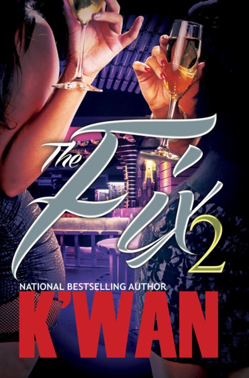 Cover of the book The Fix 2 by K'wan, Urban Books