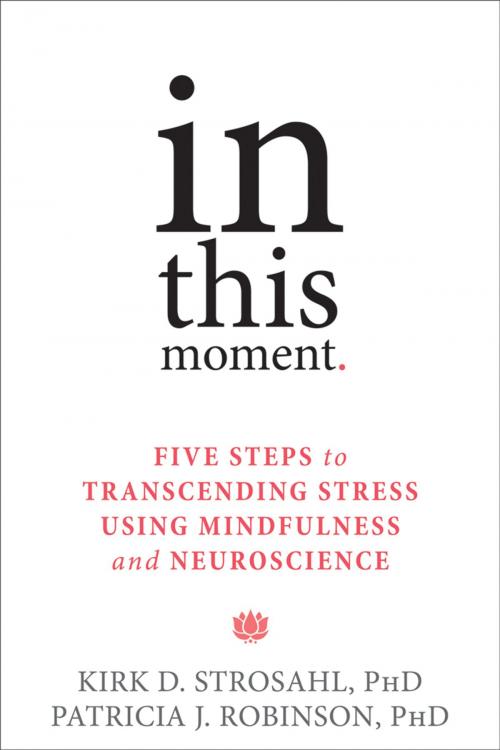 Cover of the book In This Moment by Kirk D. Strosahl, PhD, Patricia J. Robinson, PhD, New Harbinger Publications