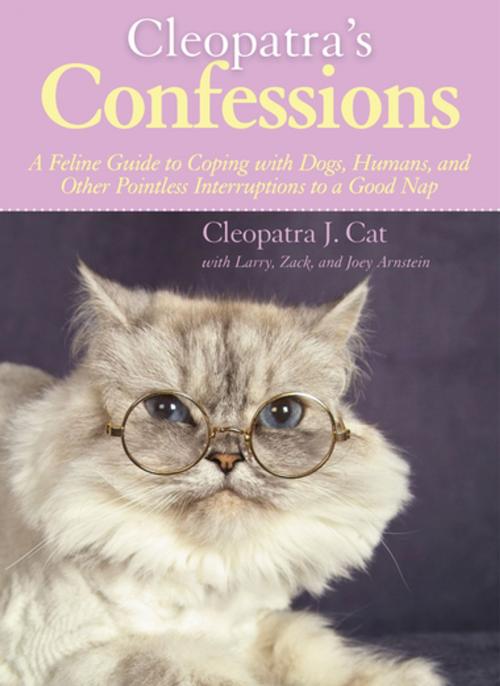 Cover of the book Cleopatra's Confessions by Cleopatra J. Cat, Larry Arnstein, Zack Arnstein, Joey Arnstein, Skyhorse Publishing