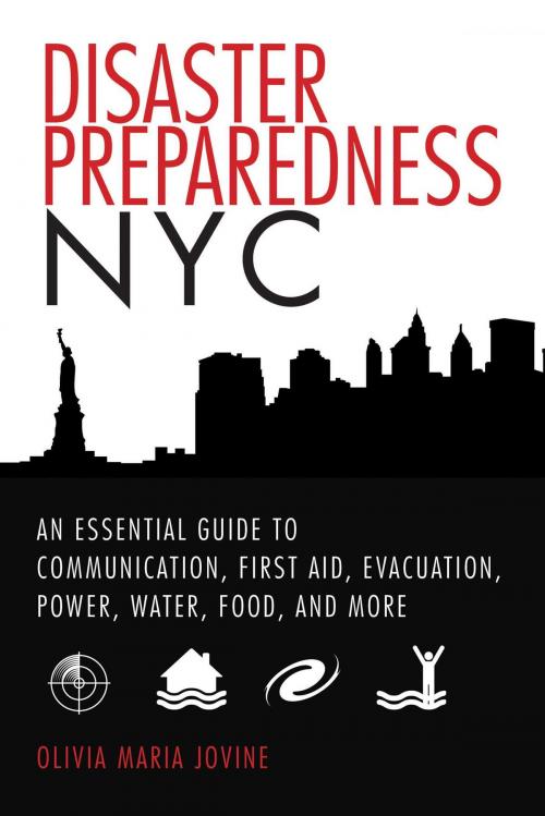Cover of the book Disaster Preparedness NYC by Olivia Maria Jovine, Skyhorse