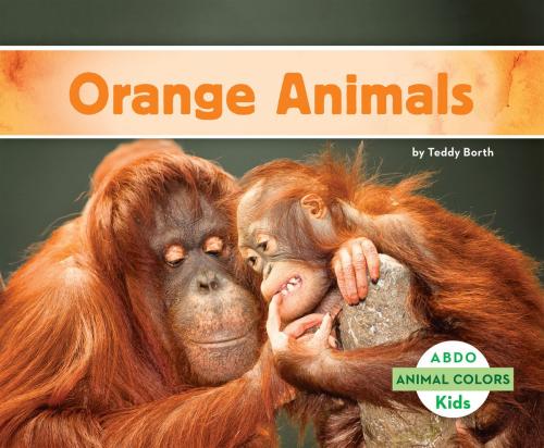 Cover of the book Orange Animals by Teddy Borth, ABDO