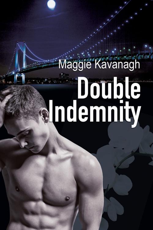 Cover of the book Double Indemnity by Maggie Kavanagh, Dreamspinner Press