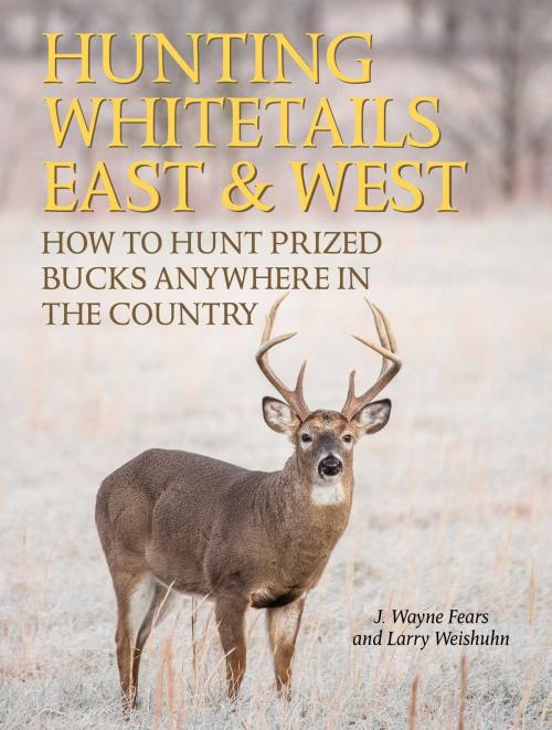 Cover of the book Hunting Whitetails East & West by J. Wayne Fears, Larry Weishuhn, Skyhorse