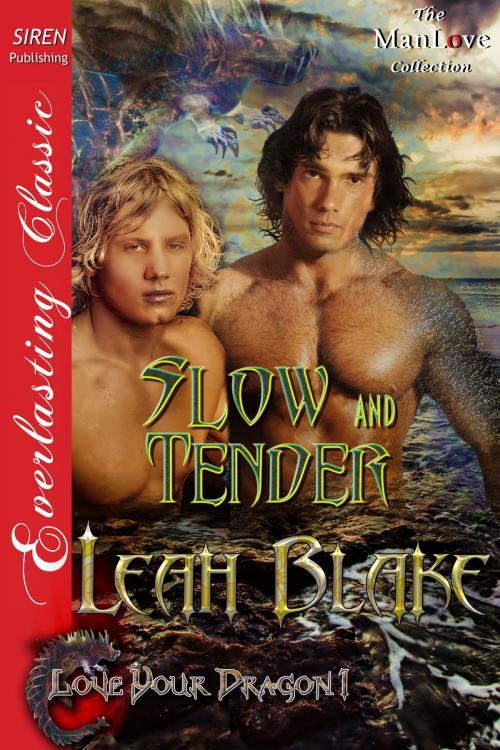 Cover of the book Slow and Tender by Leah Blake, Siren-BookStrand