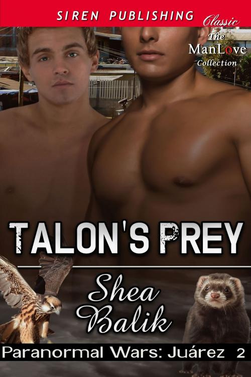 Cover of the book Talon's Prey by Shea Balik, Siren-BookStrand