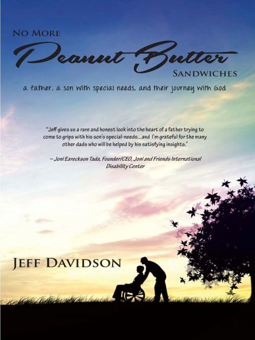 Cover of the book No More Peanut Butter Sandwiches by Jeff Davidson, Crosslink Publishing