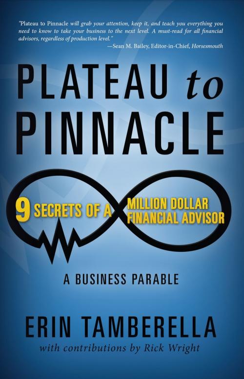 Cover of the book Plateau to Pinnacle by Erin Tamberella, Mill City Press