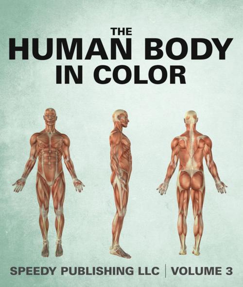 Cover of the book The Human Body In Color Volume 3 by Speedy Publishing, Speedy Publishing LLC