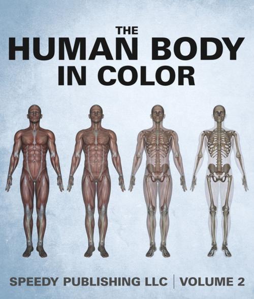 Cover of the book The Human Body In Color Volume 2 by Speedy Publishing, Speedy Publishing LLC