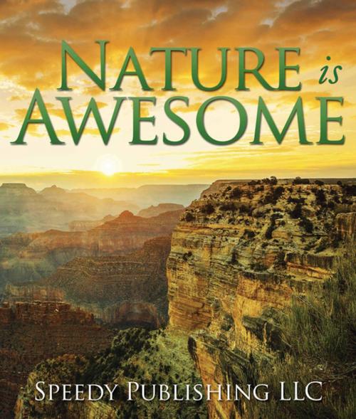 Cover of the book Nature is Awesome by Speedy Publishing, Speedy Publishing LLC