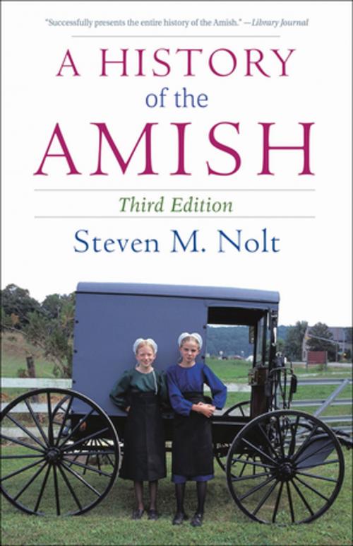 Cover of the book A History of the Amish by Steven M. Nolt, Skyhorse Publishing