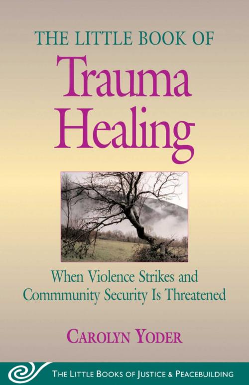 Cover of the book Little Book of Trauma Healing by Carolyn Yoder, Good Books
