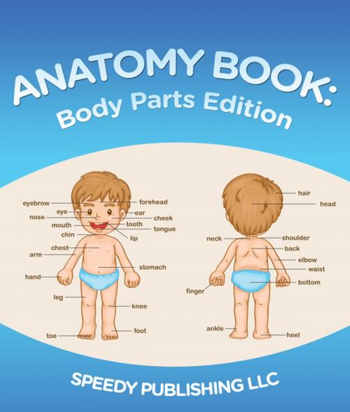 Cover of the book Anatomy Book: Body Parts Edition by Speedy Publishing, Speedy Publishing LLC