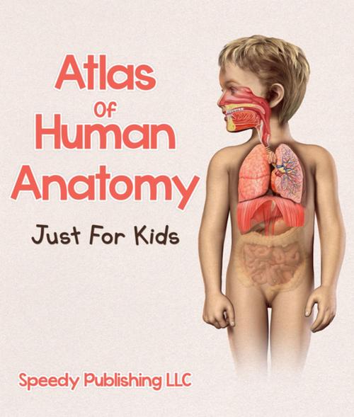 Cover of the book Atlas Of Human Anatomy Just For Kids by Speedy Publishing, Speedy Publishing LLC