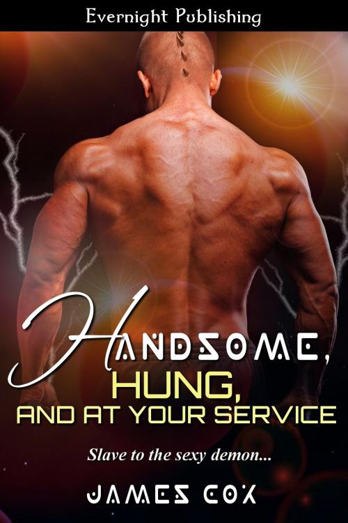 Cover of the book Handsome, Hung, and at Your Service by James Cox, Evernight Publishing