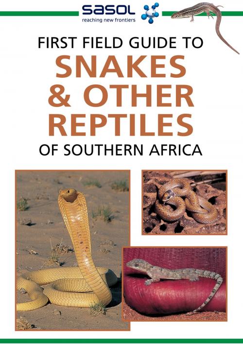 Cover of the book First Field Guide to Snakes & other Reptiles of Southern Africa by Tracey Hawthorne, Penguin Random House South Africa