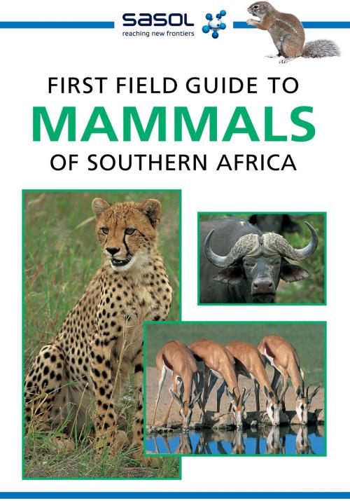 Cover of the book First Field Guide to Mammals of Southern Africa by Sean Fraser, Penguin Random House South Africa