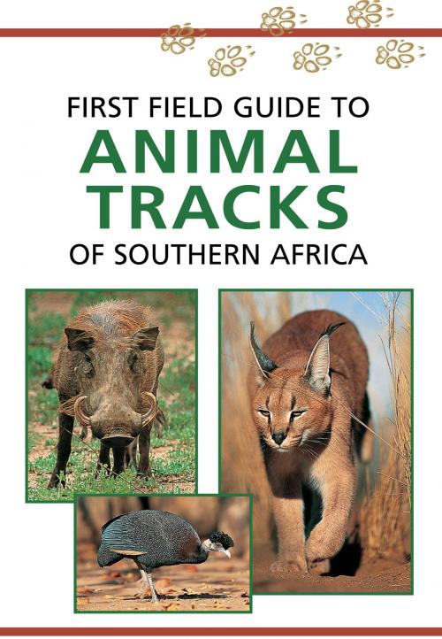 Cover of the book First Field Guide to Animal Tracks of Southern Africa by Louis Liebenberg, Penguin Random House South Africa