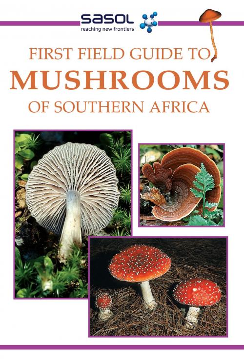 Cover of the book First Field Guide to Mushrooms of Southern Africa by Margo Branch, Penguin Random House South Africa