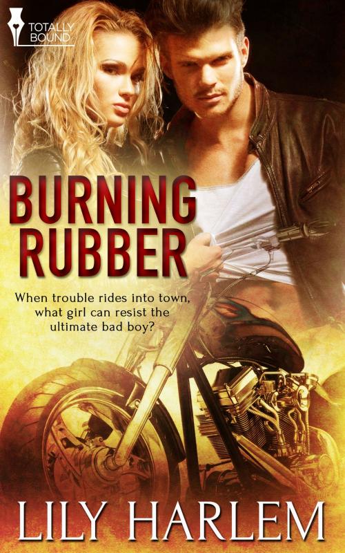 Cover of the book Burning Rubber by Lily  Harlem, Totally Entwined Group Ltd