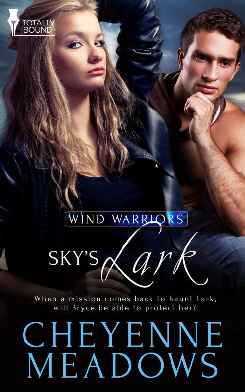 Cover of the book Sky’s Lark by Cheyenne Meadows, Totally Entwined Group Ltd