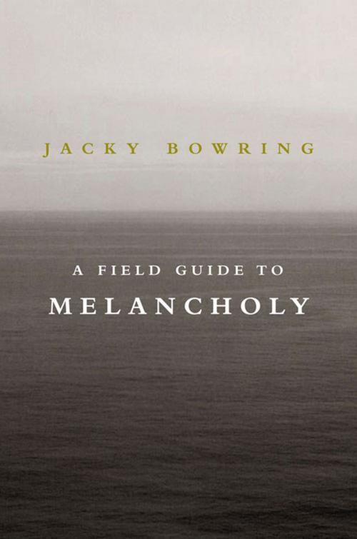 Cover of the book A Field Guide to Melancholy by Jacky Bowring, Oldcastle Books