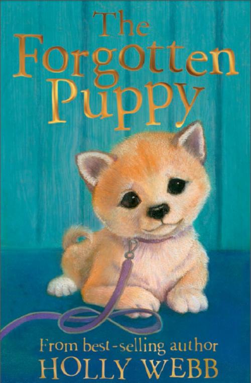 Cover of the book The Forgotten Puppy by Holly Webb, Stripes Publishing