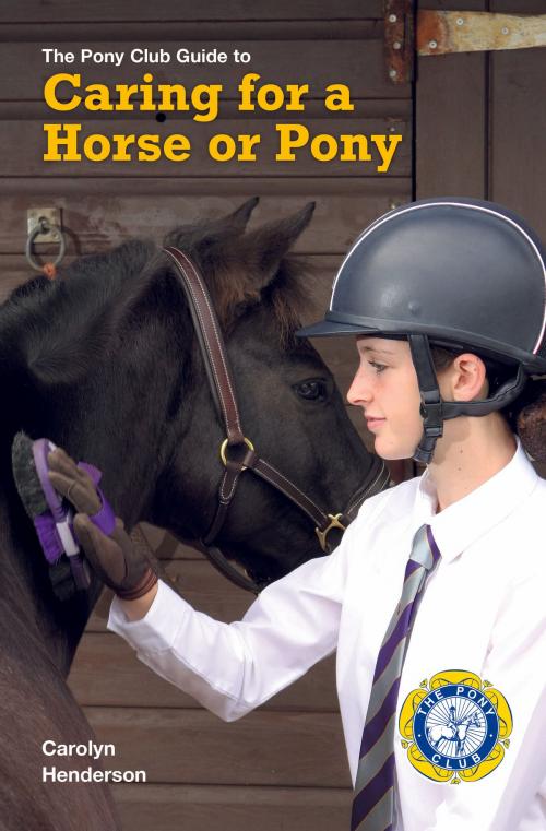 Cover of the book CARING FOR A HORSE OR PONY by Carolyn Henderson, Quiller
