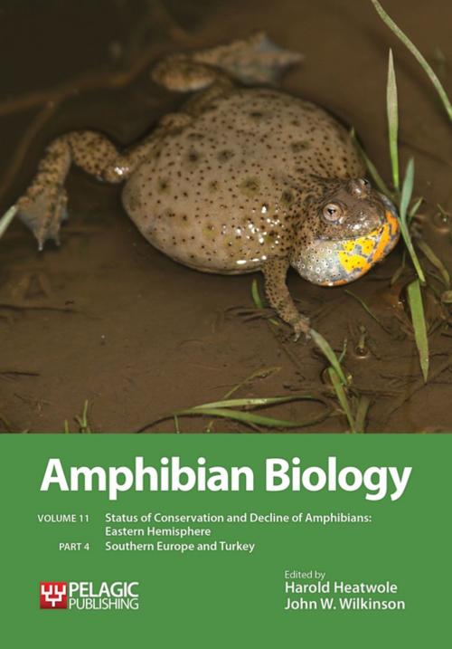 Cover of the book Amphibian Biology, Volume 11, Part 4 by , Pelagic Publishing