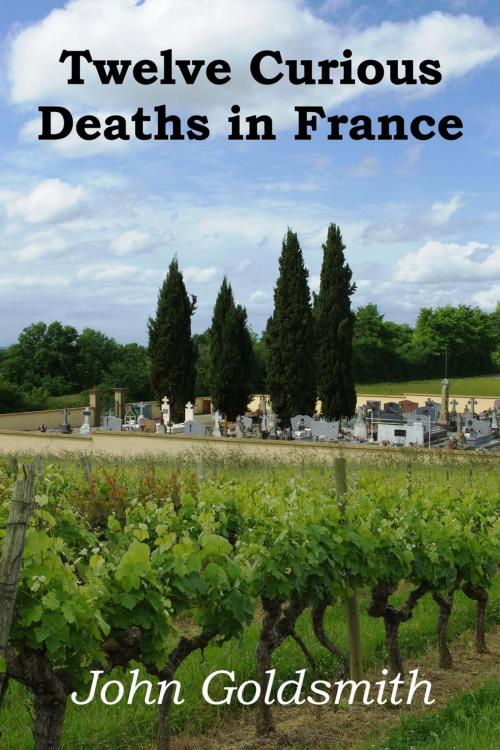 Cover of the book Twelve Curious Deaths in France by John Goldsmith, Marble City Publishing