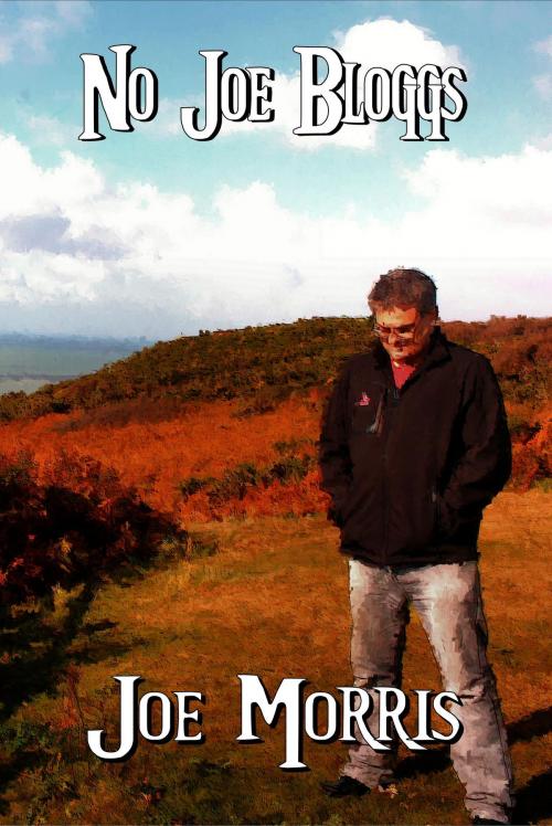 Cover of the book No Joe Bloggs by Joe Morris, Mirador Publishing