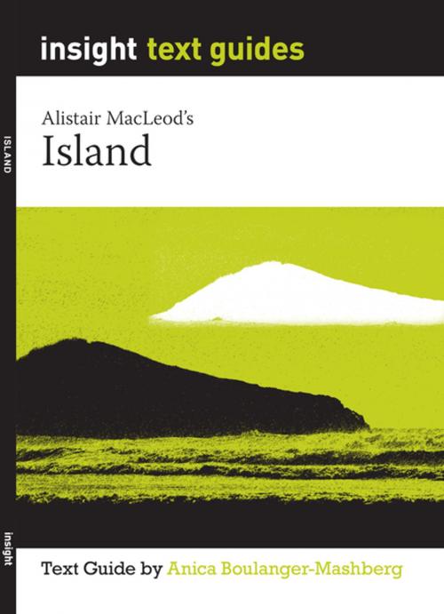 Cover of the book Island by Anica Boulanger-Mashberg, Insight Publications