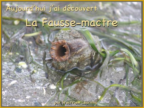 Cover of the book Aujourd'hui j'ai découvert La Fausse-mactre by Heather Stannard, Lynn Stannard, WestView Learning