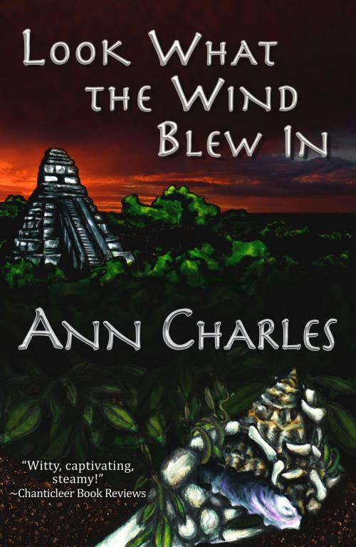 Cover of the book Look What the Wind Blew In by Ann Charles, Ann Charles