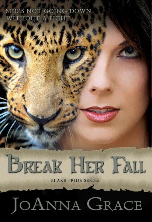 Cover of the book Break Her Fall by JoAnna Grace, JoAnna Grace