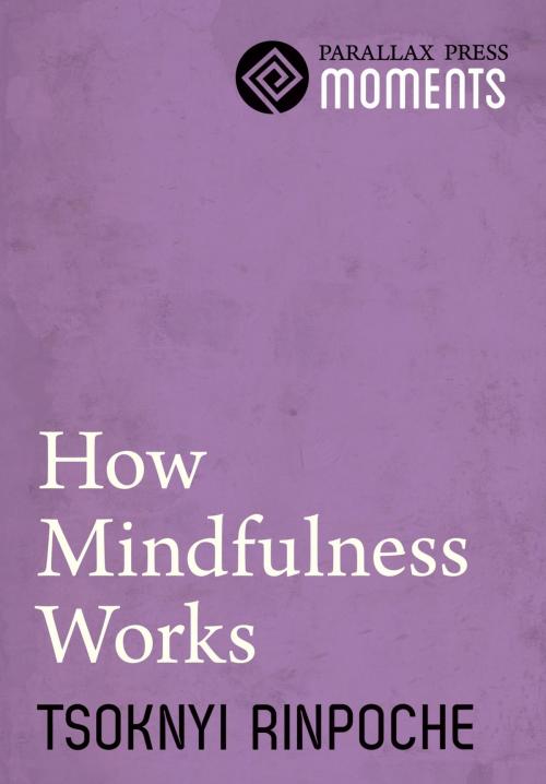Cover of the book How Mindfulness Works by Tsoknyi Rinpoche, Parallax Press