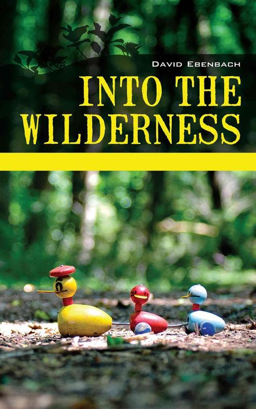 Cover of the book Into the Wilderness by David Harris Ebenbach, Washington Writers' Publishing House