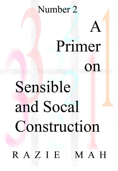 Cover of the book A Primer on Sensible and Social Construction by Razie Mah, Razie Mah