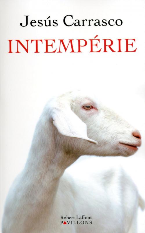 Cover of the book Intempérie by Jesús CARRASCO, Groupe Robert Laffont