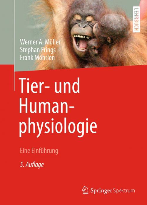 Cover of the book Tier- und Humanphysiologie by Stephan Frings, Frank Möhrlen, Werner A. Müller, Springer Berlin Heidelberg