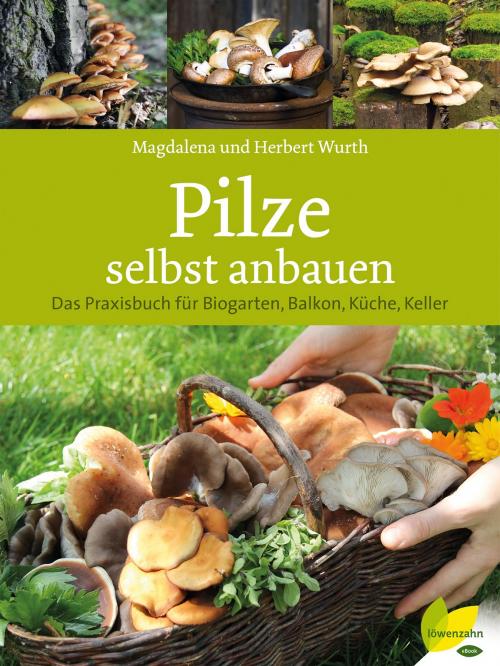 Cover of the book Pilze selbst anbauen by Magdalena Wurth, Herbert Wurth, Löwenzahn Verlag