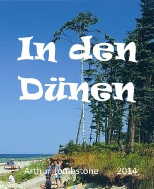 Cover of the book In den Dünen by Arthur Tombstone, BookRix