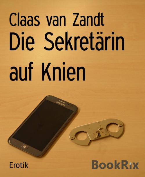 Cover of the book Die Sekretärin auf Knien by Claas van Zandt, BookRix