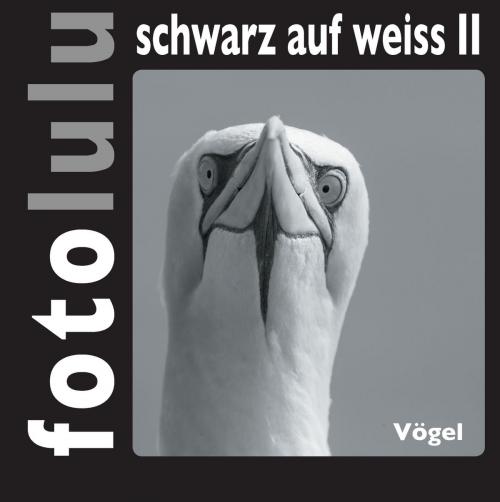 Cover of the book fotolulu schwarz auf weiss II by fotolulu, Books on Demand