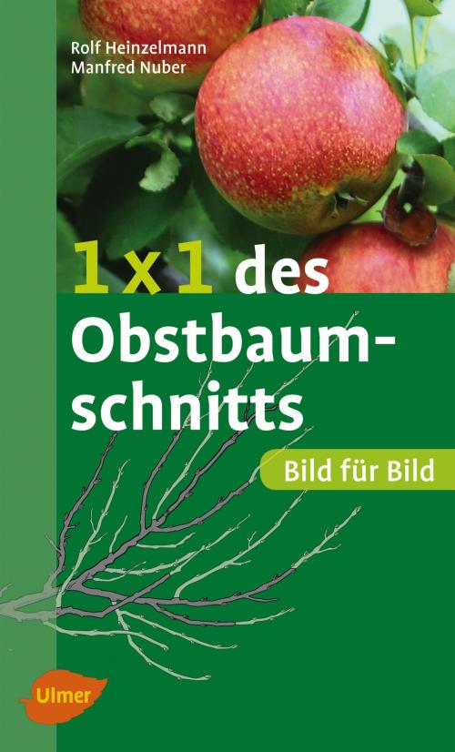 Cover of the book 1 x 1 des Obstbaumschnitts by Rolf Heinzelmann, Manfred Nuber, Verlag Eugen Ulmer