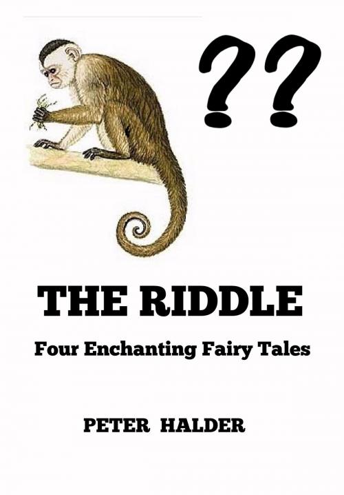 Cover of the book The Riddle by Peter Halder, Proglen