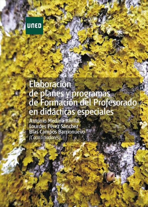 Cover of the book Elaboración de Planes y Programas de Formación del Profesorado en Didácticas Espaciales by VV.AA., UNED