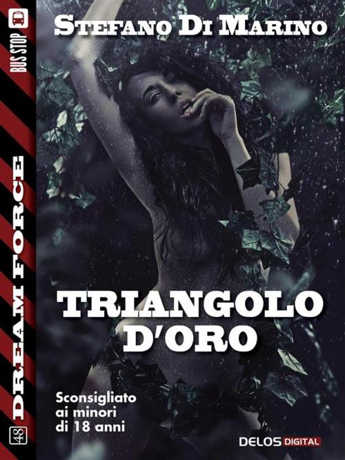 Cover of the book Triangolo d'oro by Stefano di Marino, Delos Digital