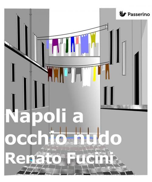 Cover of the book Napoli a occhio nudo by Renato Fucini, Passerino