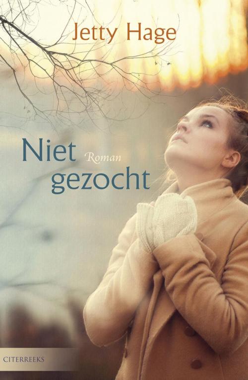 Cover of the book Niet gezocht by Jetty Hage, VBK Media